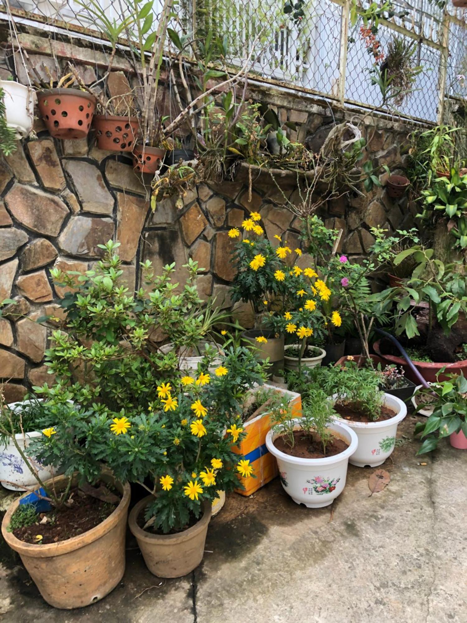 Phuong Hong Guesthouse Да Лат Екстериор снимка
